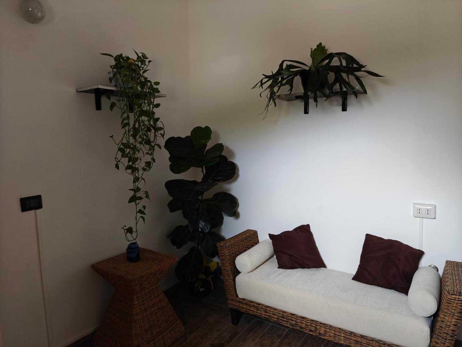 Albero Della Musica Bed & Breakfast Сасари Екстериор снимка